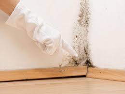 Best Mold Removal for HVAC Installations  in Twin Grove, IL